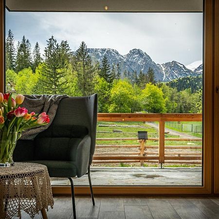 Bialy Mis Apartamenty Art & Design Zakopane Dış mekan fotoğraf