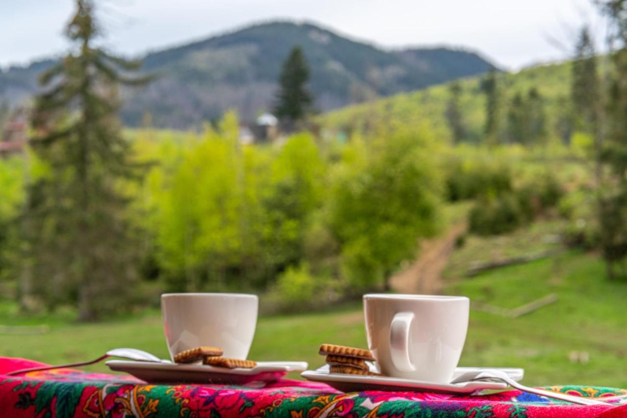 Bialy Mis Apartamenty Art & Design Zakopane Dış mekan fotoğraf
